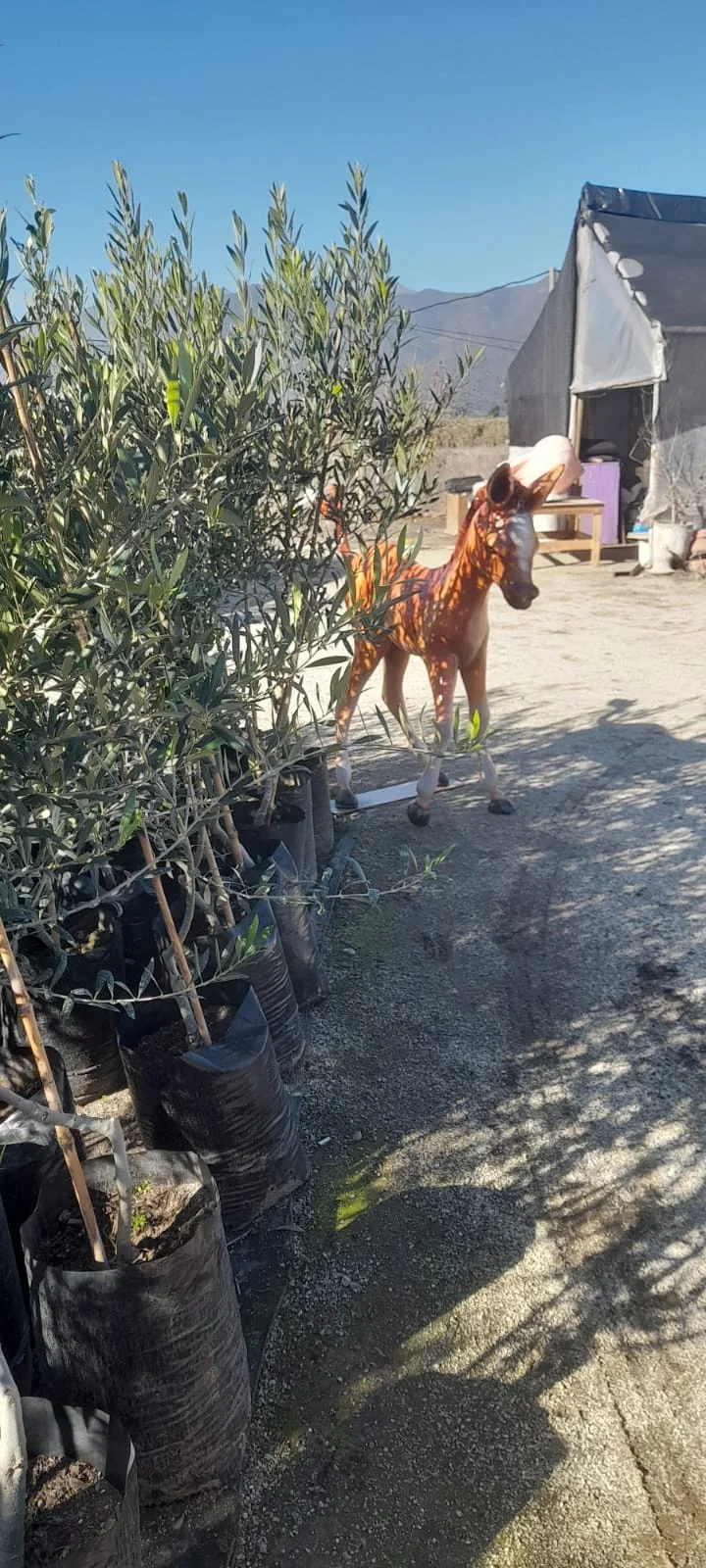 Caballo escultura